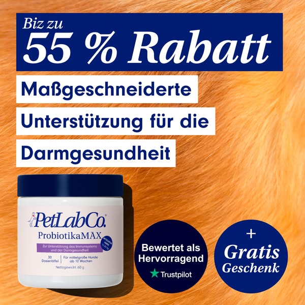 55% auf Probiotika! ⏳ Jetzt Angebot sichern!