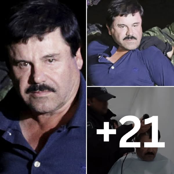 A sus 67 años, El Chapo ahora sufre un severo castigo tras las rejas tras ser sentenciado a cadena perpetua por sus horribles crímenes. Era conocido por explotar a las mujeres, a las que inquietantemente llamaba sus "vitaminas", matar a los...